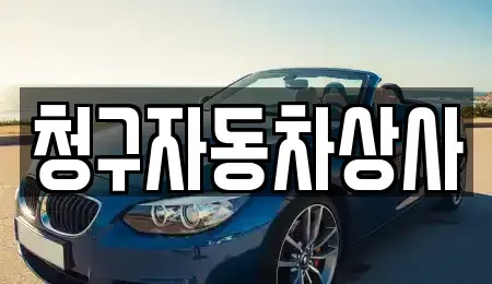 경상북도 상주시 외답동 렌트카,단기렌트카,장기렌트카,중고차,중고차매매,중고차매입