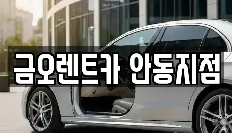 경상북도 안동시 성곡동 렌트카 전문 금오렌트카 안동지점