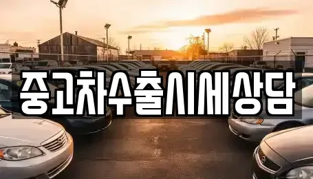 경상북도 안동시 성곡동 중고차 전문 중고차수출시세상담