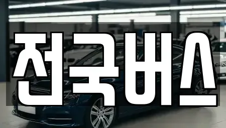 경상북도 영천시 도남동 중고차 전문 전국버스