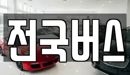 경상북도 영천시 도남동 중고차 전문 전국버스