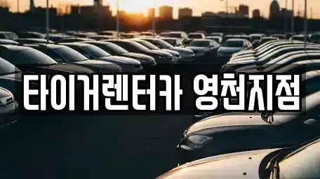 경상북도 영천시 도동 렌트카 전문 타이거렌터카 영천지점