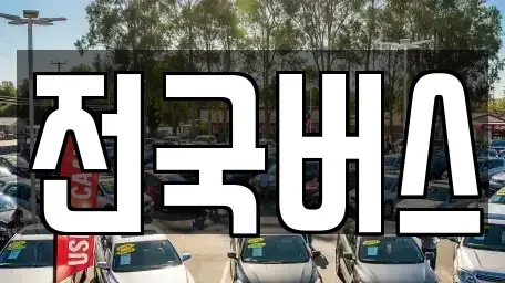 경상북도 영천시 도동 중고차 전문 전국버스