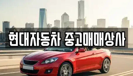 경상북도 영천시 도동 중고차 전문 현대자동차 중고매매상사