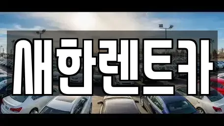 경상북도 영천시 작산동 렌트카 전문 새한렌트카