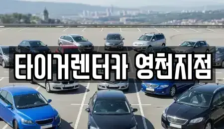 경상북도 영천시 작산동 렌트카 전문 타이거렌터카 영천지점