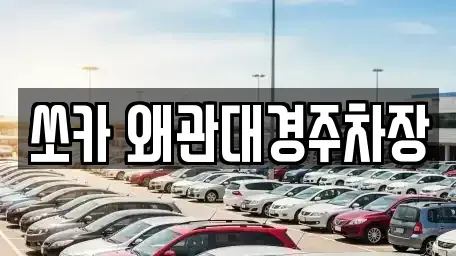 경상북도 칠곡군 약목면 렌트카 전문 쏘카 왜관대경주차장