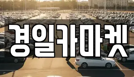 경상북도 칠곡군 약목면 중고차 전문 경일카마켓