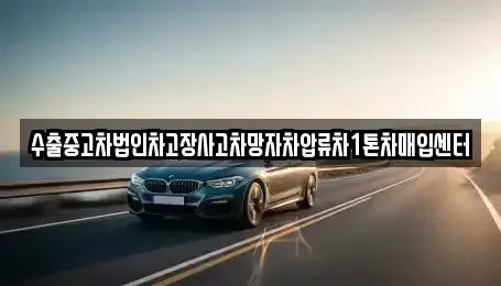 경상북도 포항시 남구 구룡포읍 중고차 전문 수출중고차법인차고장사고차망자차압류차1톤차매입센터