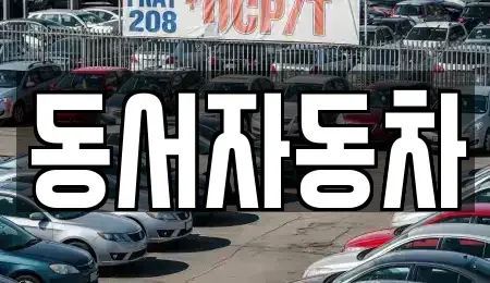 경상북도 포항시 남구 구룡포읍 중고차매매 전문 동서자동차