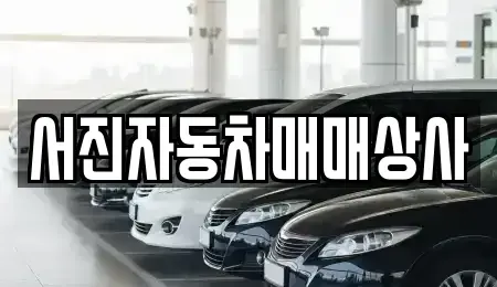경상북도 포항시 남구 인덕동 중고차매매 전문 서진자동차매매상사