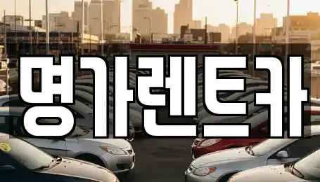 경상북도 포항시 북구 덕수동 렌트카 전문 명가렌트카