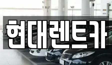 경상북도 포항시 북구 덕수동 렌트카 전문 현대렌트카