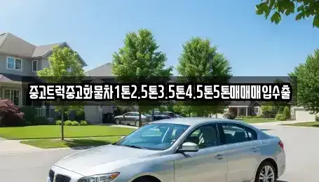 경상북도 포항시 북구 덕수동 중고차 전문 중고트럭중고화물차1톤2.5톤3.5톤4.5톤5톤매매매입수출