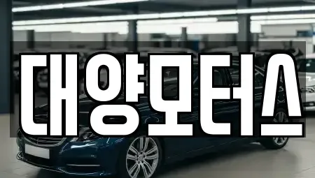 광주 광산구 선동 중고차 전문 대양모터스