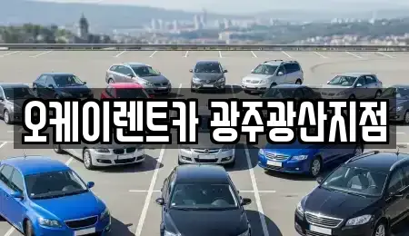 광주 광산구 운남동 단기렌트카,중고차매입,중고차매매,중고차,렌트카,장기렌트카