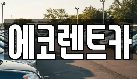 광주 광산구 운남동 렌트카 전문 에코렌트카