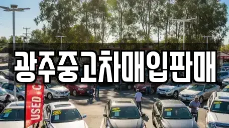 광주 광산구 운남동 중고차매입 전문 광주중고차매입판매