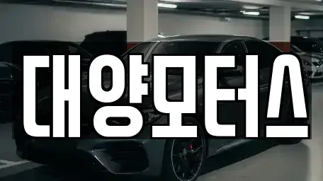 광주 동구 궁동 중고차 전문 대양모터스
