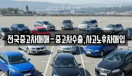 광주 동구 궁동 중고차 전문 전국중고차매매-중고차수출,사고노후차매입