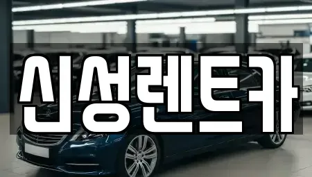 광주 북구 망월동 렌트카 전문 신성렌트카