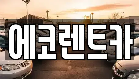 광주 북구 망월동 렌트카 전문 에코렌트카