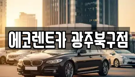 광주 북구 망월동 장기렌트카 전문 에코렌트카 광주북구점