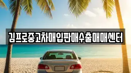 광주 북구 문흥동 중고차매입 전문 김프로중고차매입판매수출매매센터