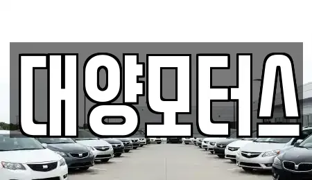 광주 서구 내방동 중고차 전문 대양모터스