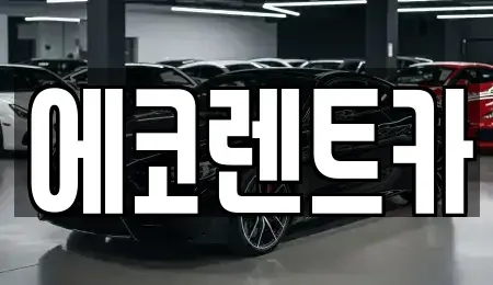 광주 서구 동천동 렌트카 전문 에코렌트카