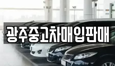 광주 서구 동천동 중고차 전문 광주중고차매입판매