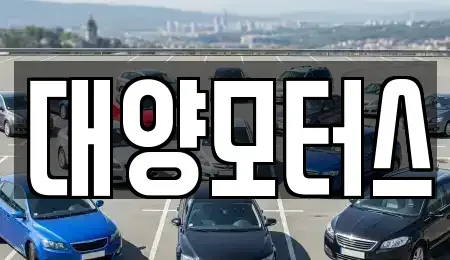 광주 서구 동천동 중고차 전문 대양모터스