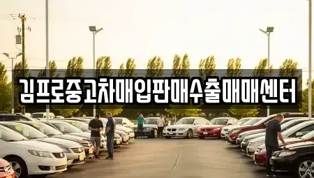 광주 서구 동천동 중고차매입 전문 김프로중고차매입판매수출매매센터