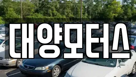 광주광역시 광산구 고룡동 중고차매매 전문 대양모터스