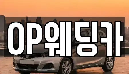 광주광역시 광산구 도천동 렌트카 전문 OP웨딩카