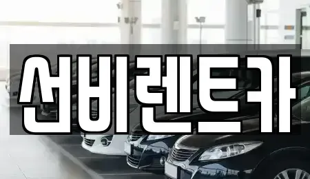 광주광역시 광산구 도천동 렌트카 전문 선비렌트카