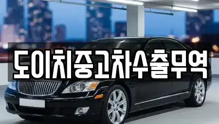 광주광역시 광산구 도천동 중고차 전문 도이치중고차수출무역