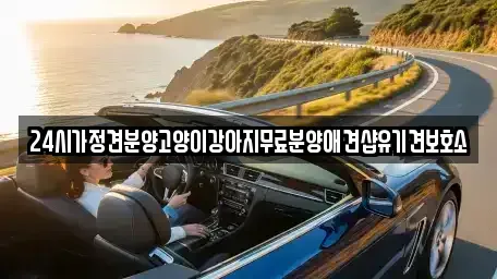 광주광역시 광산구 도천동 중고차매입 전문 24시가정견분양고양이강아지무료분양애견샵유기견보호소