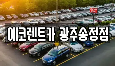 광주광역시 광산구 장록동 렌트카 전문 에코렌트카 광주송정점