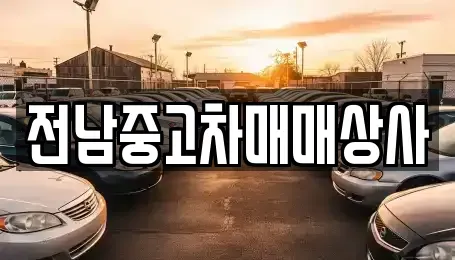 광주광역시 광산구 장록동 중고차 전문 전남중고차매매상사