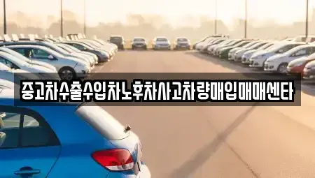 광주광역시 광산구 장록동 중고차매입 전문 중고차수출수입차노후차사고차량매입매매센타