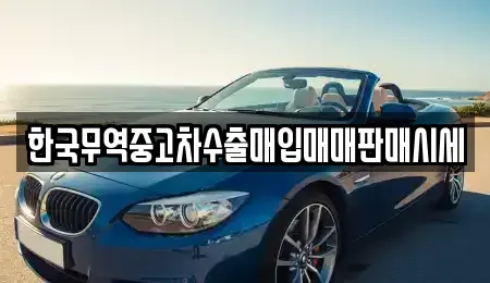 광주광역시 광산구 장록동 중고차매입 전문 한국무역중고차수출매입매매판매시세