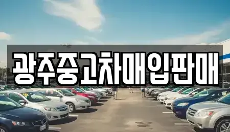 광주광역시 남구 원산동 중고차매입 전문 광주중고차매입판매