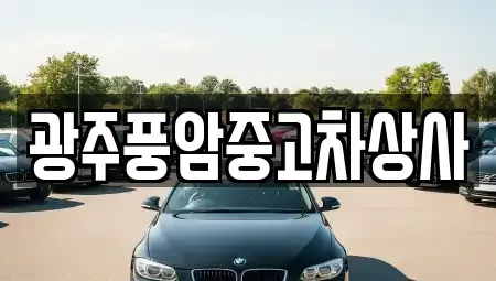 광주광역시 남구 화장동 중고차매매,단기렌트카,중고차매입,장기렌트카,중고차,렌트카