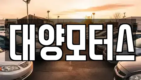 광주광역시 남구 화장동 중고차매매 전문 대양모터스