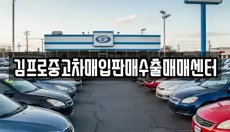 광주광역시 동구 대의동 중고차매매 전문 김프로중고차매입판매수출매매센터