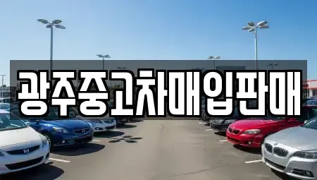 광주광역시 동구 대의동 중고차매입 전문 광주중고차매입판매