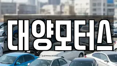 광주광역시 동구 충장로2가 중고차 전문 대양모터스
