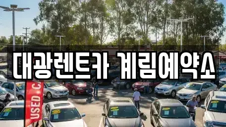 광주광역시 북구 북동 장기렌트카 전문 대광렌트카 계림예약소