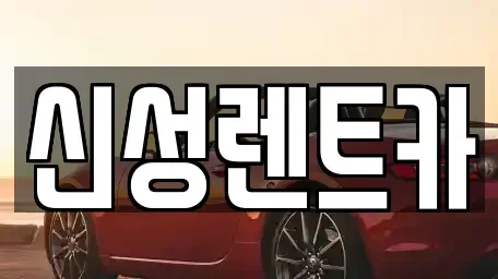 광주광역시 북구 삼각동 렌트카 전문 신성렌트카